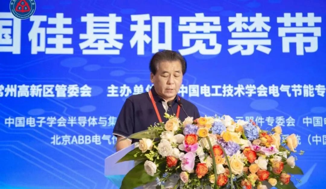 中國電工技術學會電氣節能專業委員會 秘書長 孫長富主持論壇