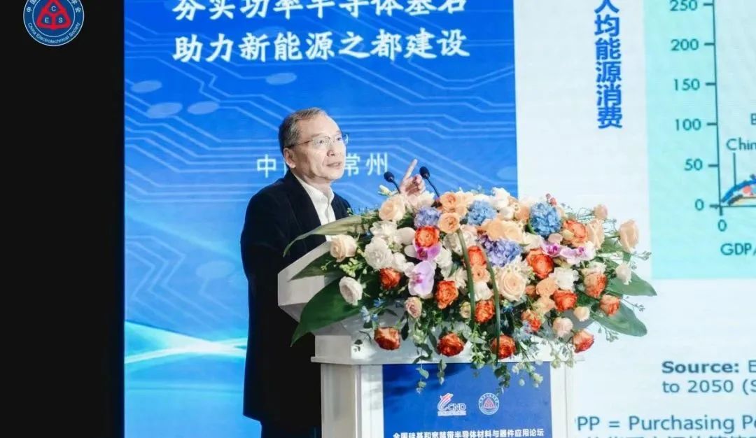 浙江大學求是特聘教授、中國電源學會名譽理事長  徐德鴻