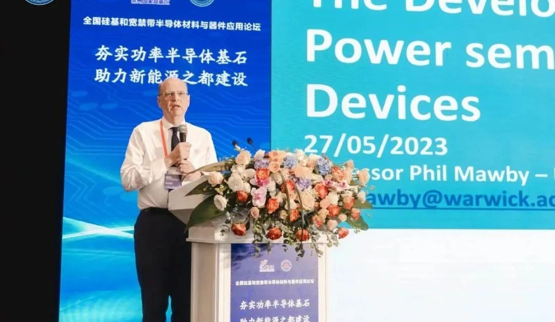 英國華威大學 工程學院電力電子系主任  菲利普教授