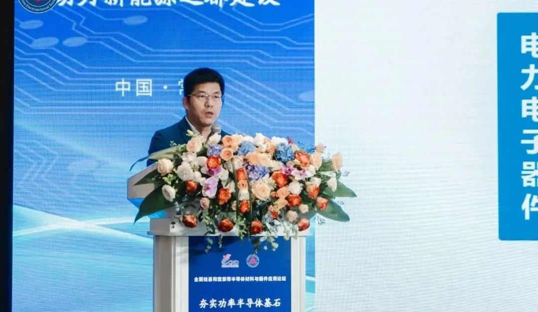 西安交通大學 電力設備電氣絕緣國家重點實驗室教授  王來利博士