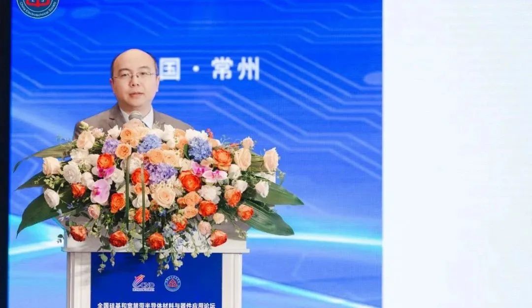 江蘇宏微科技股份有限公司 市場總監 榮睿